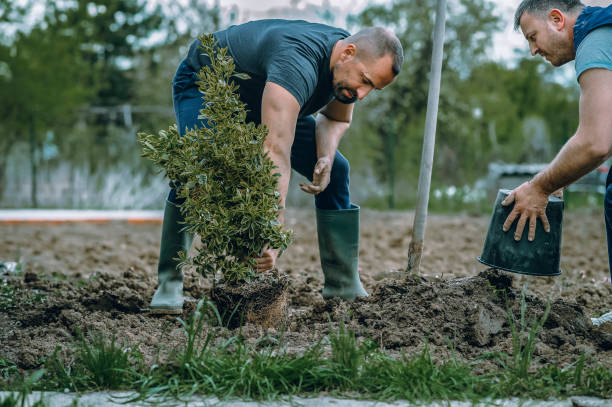 Best Weed Control  in Ruston, WA